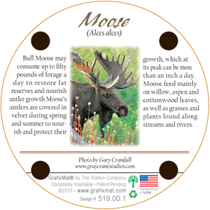 Moose Monarch Cork Coaster