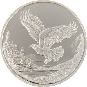 Eagle In Flight Medallion