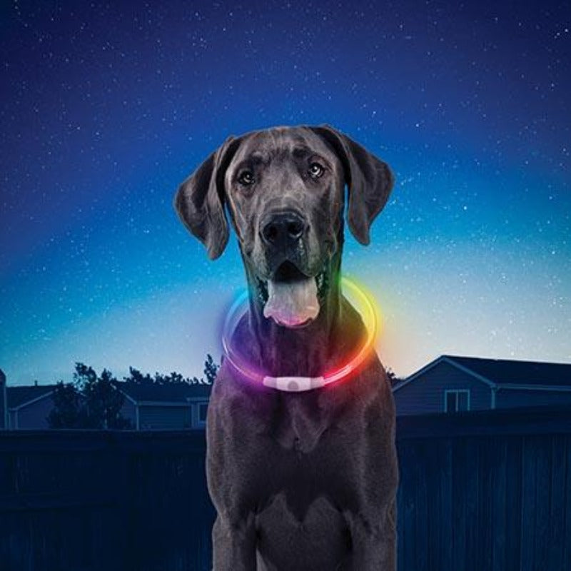 NiteHowl® Rechargeable LED Safety Necklace