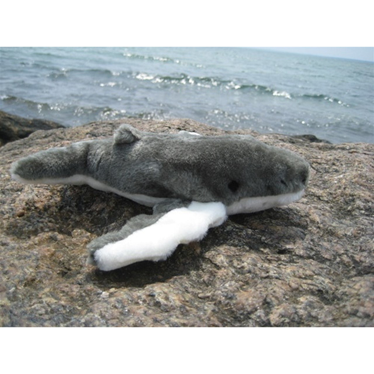 Plush Humpback Whale Dog Toy