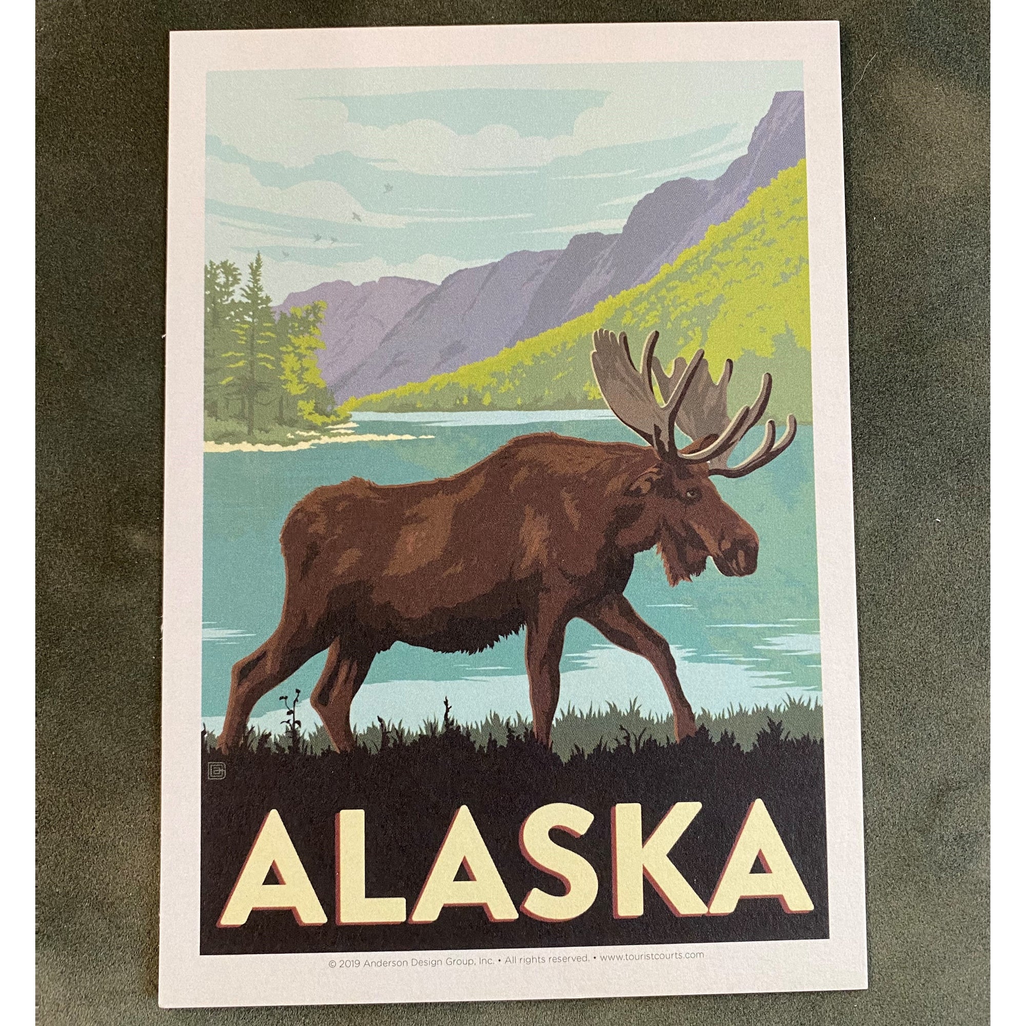 Vintage Alaska Moose Postcard