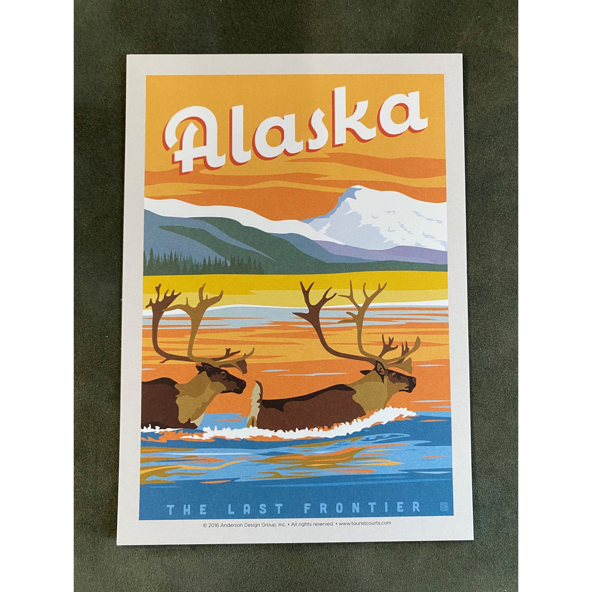 Vintage Swimming Caribou Postcard