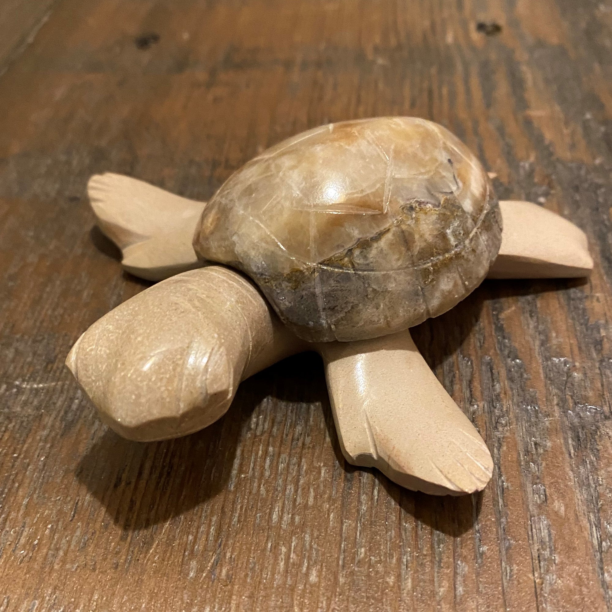 Marble 4in Light Body Turtle  Figurine