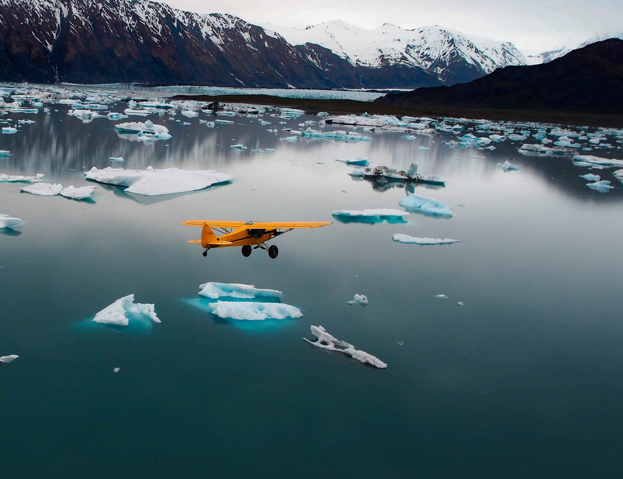 Seward Air Tours