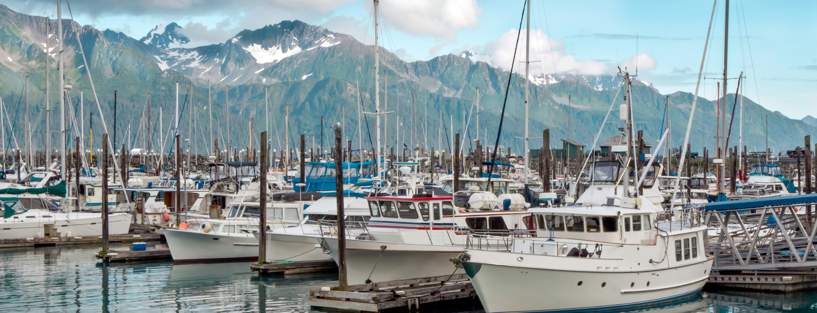 Welcome to Seward!