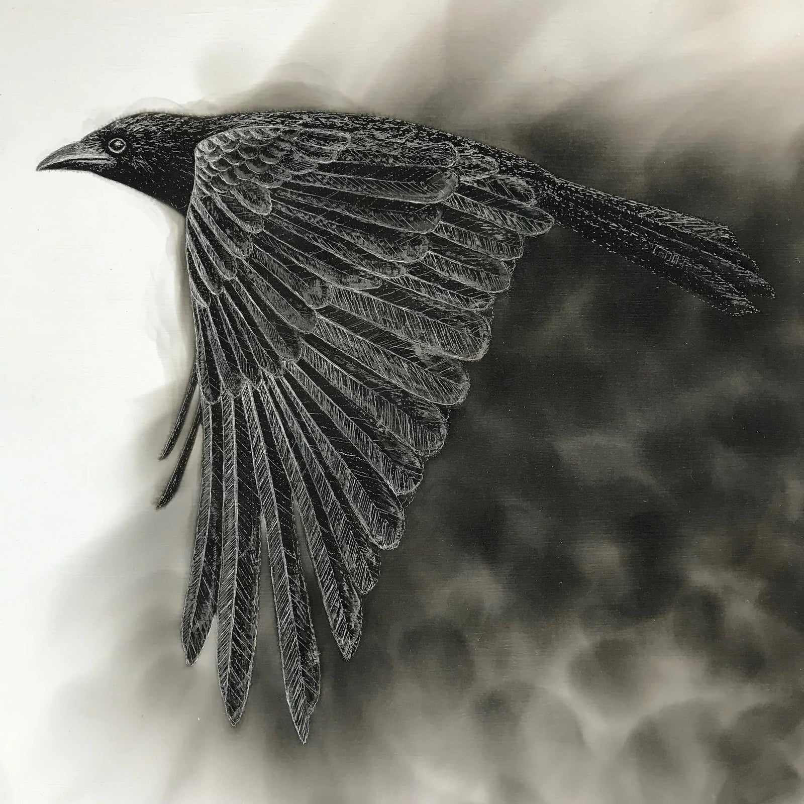 Born of Fire Canvas Print