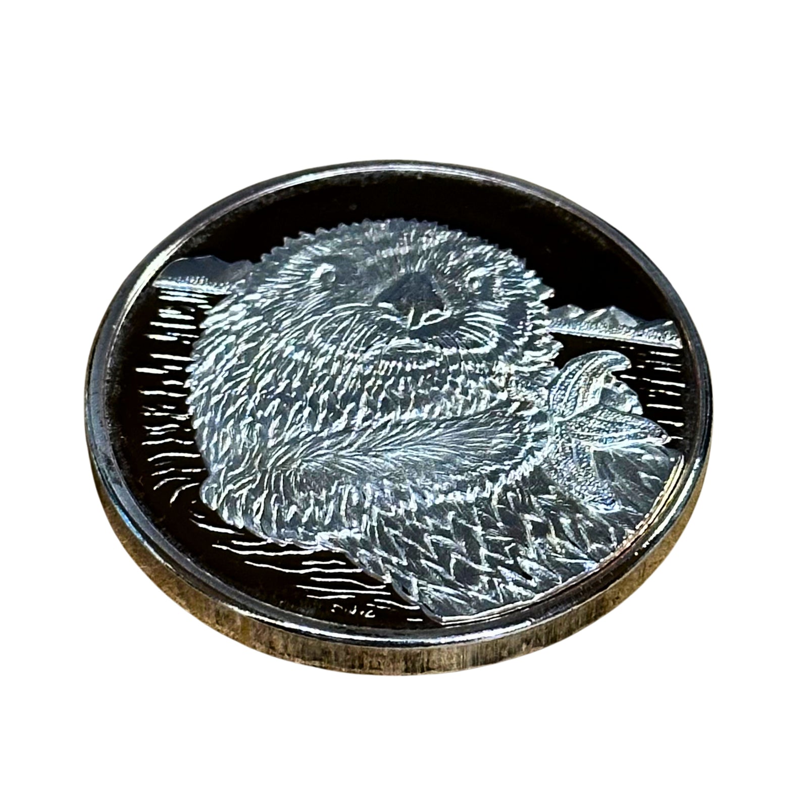 Otter with Starfish Silver Plated Medallion