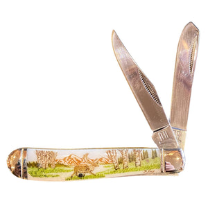 Color Scrimshaw 3.5 inch Knife