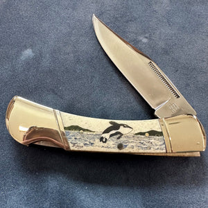 Lock Back 3.75 inch Scrimshaw Knife
