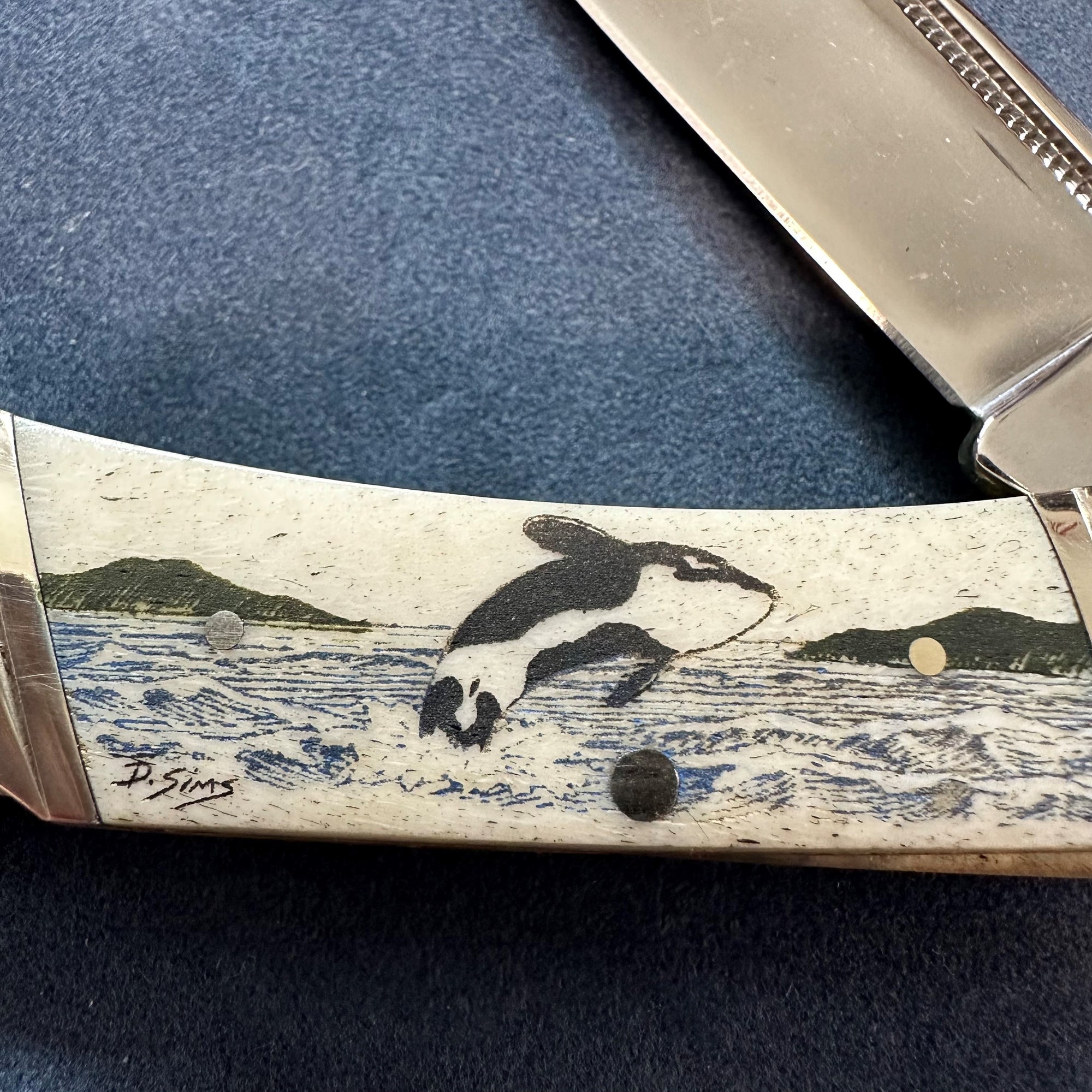 Lock Back 3.75 inch Scrimshaw Knife