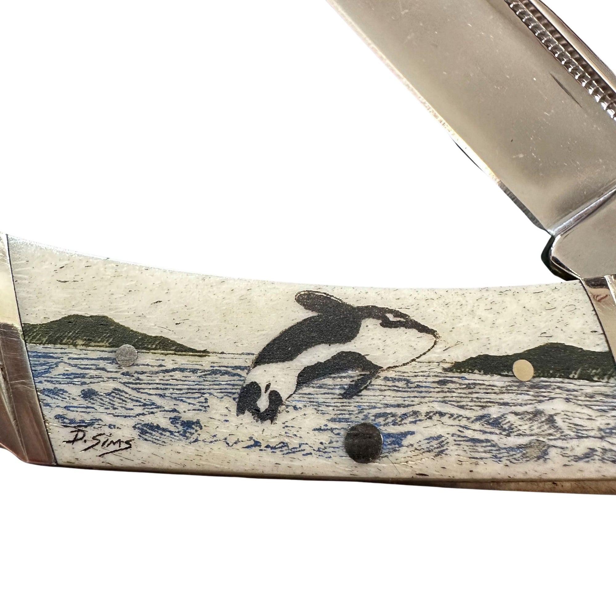 Lock Back 3.75 inch Scrimshaw Knife