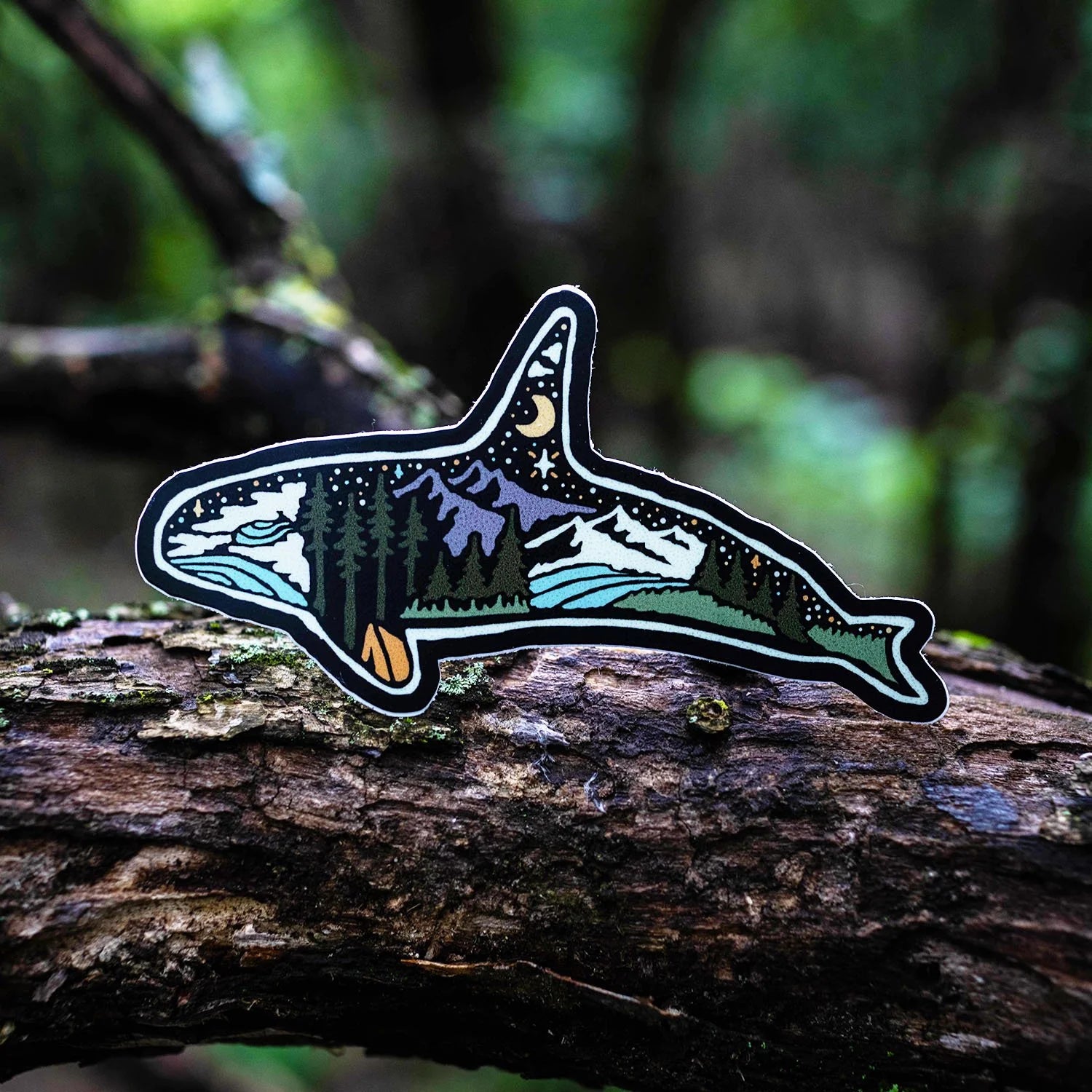 Orca Sticker