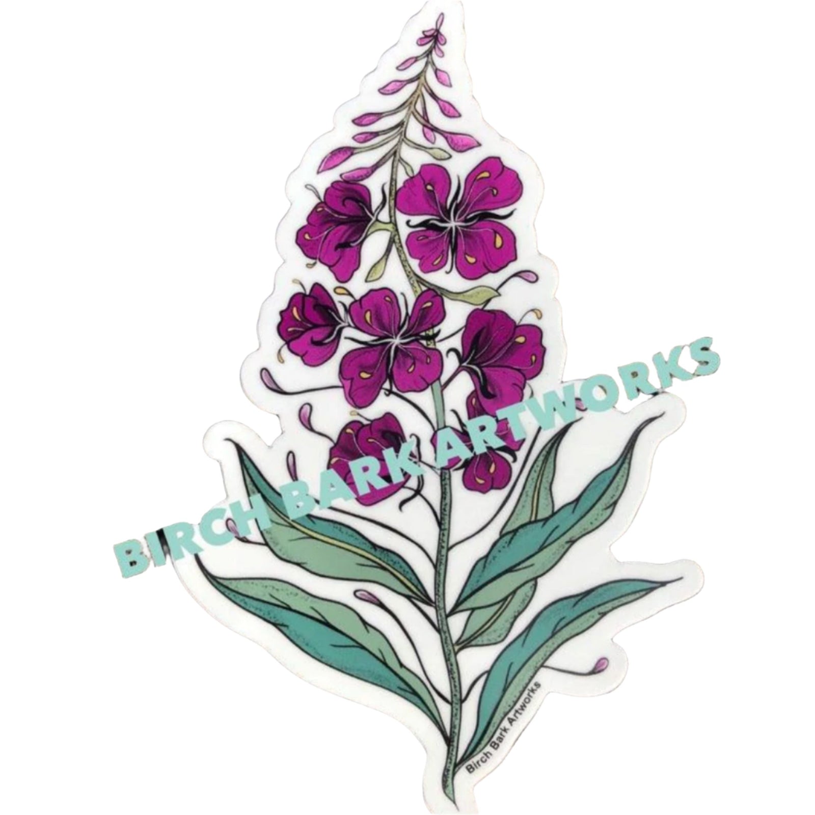 Fireweed Sticker