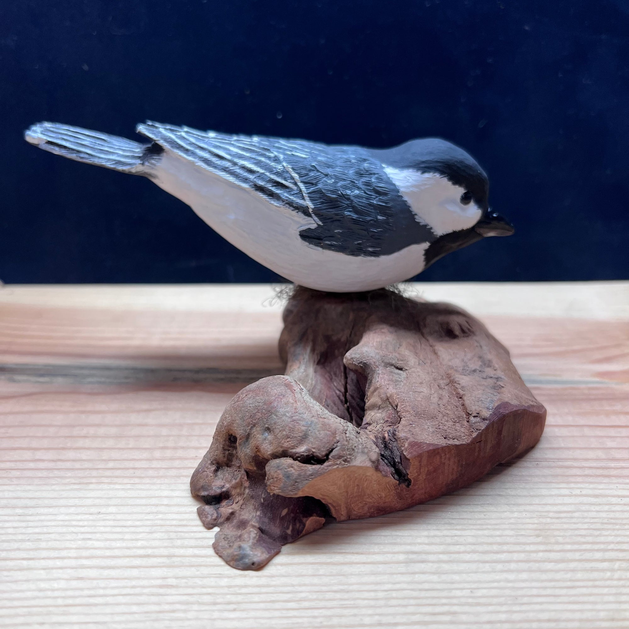 Black Capped Chickadee Wood Carved