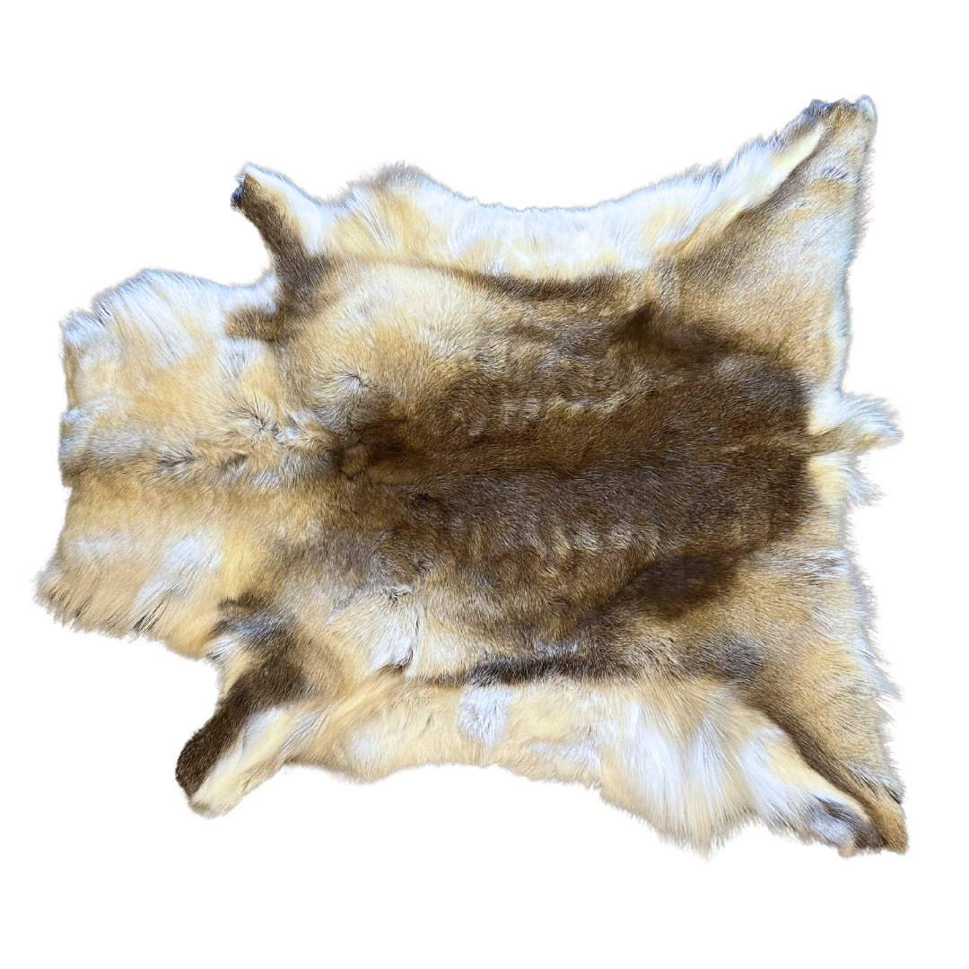 Arctic Reindeer Hides