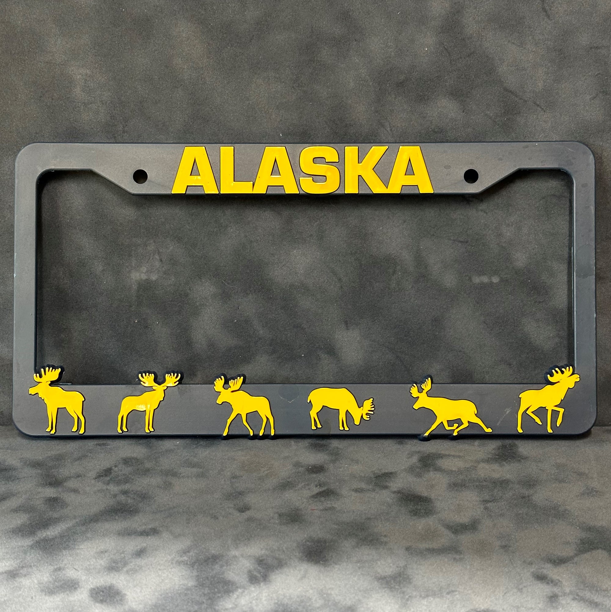 License Plate Frame