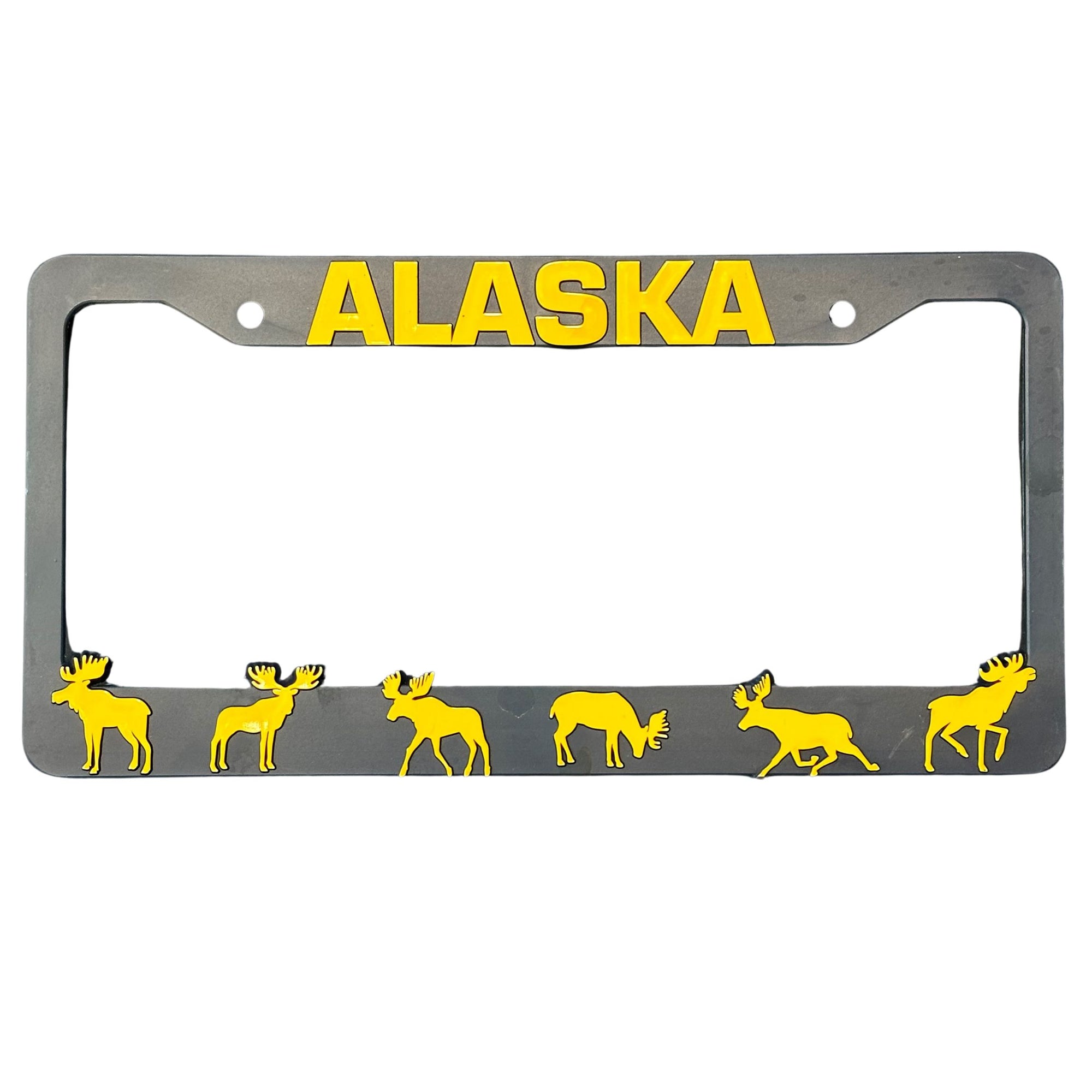 License Plate Frame
