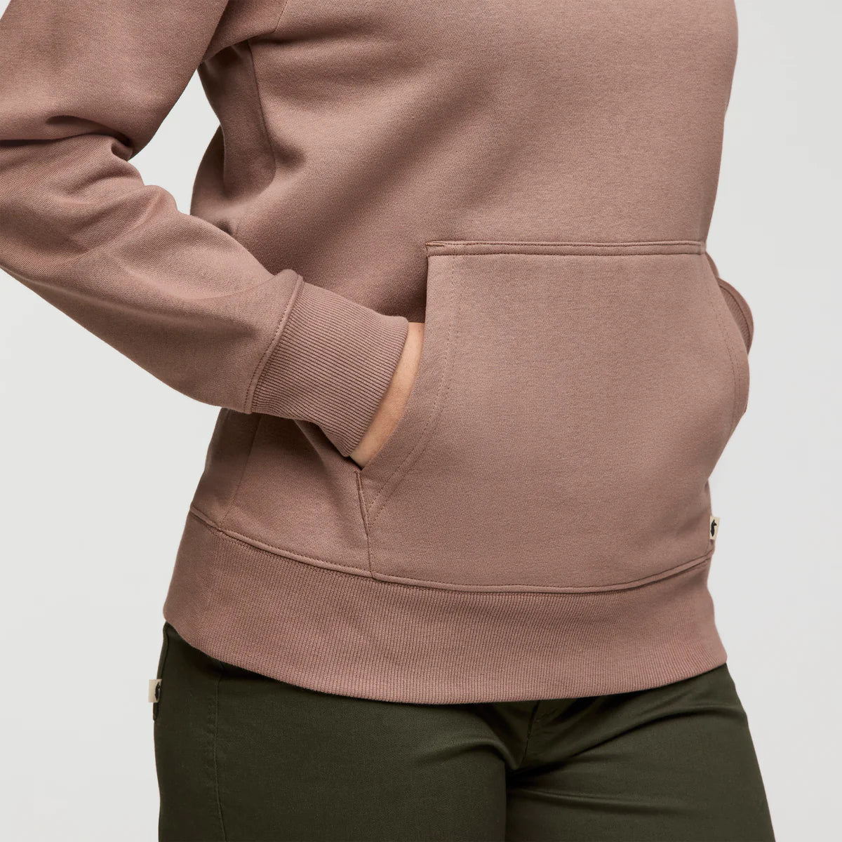 Llama Patch Pullover Hoodie for Women - Reishi