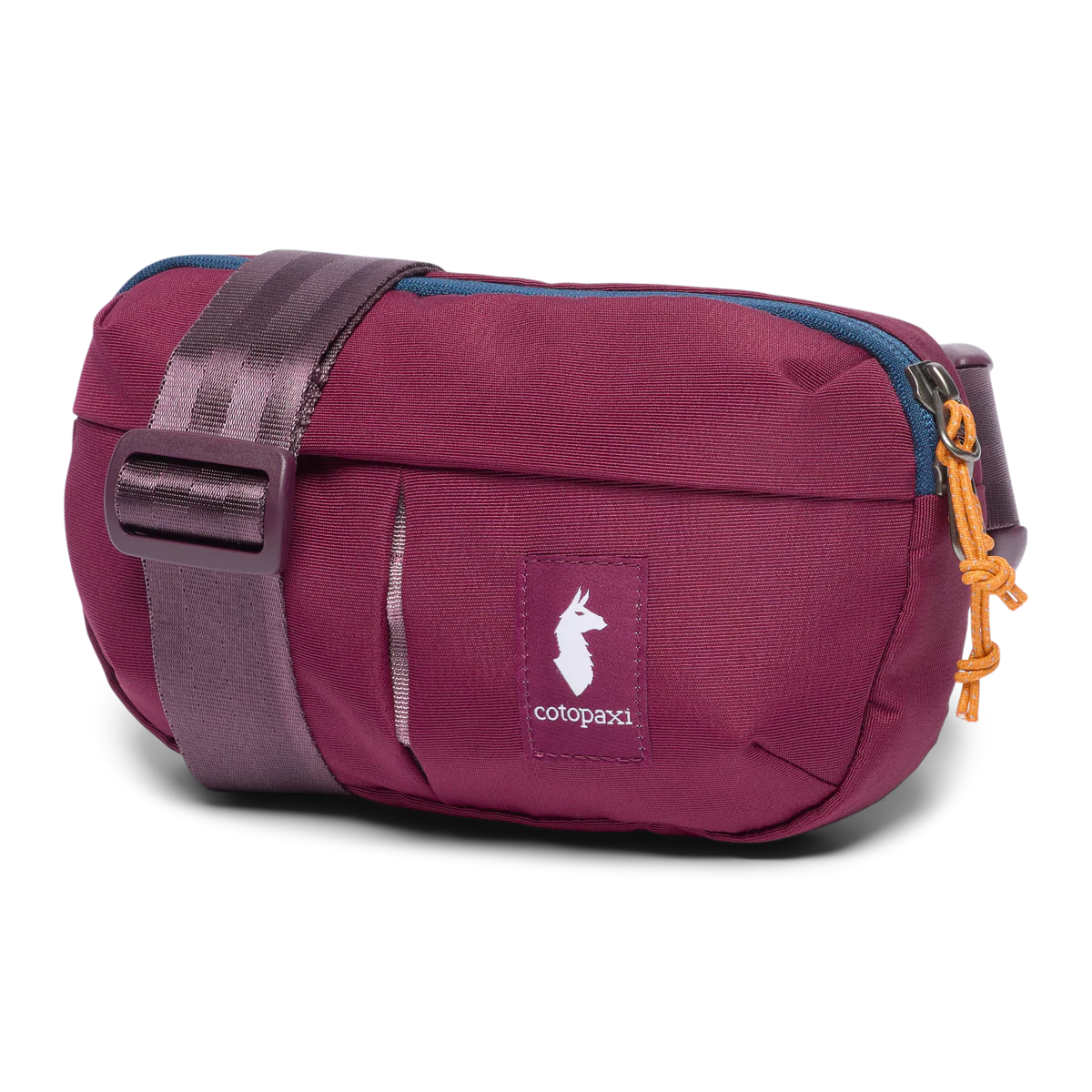 Todo 2L Hip Pack - F25