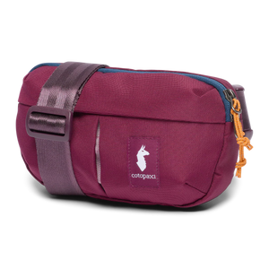 Todo 2L Hip Pack - F25