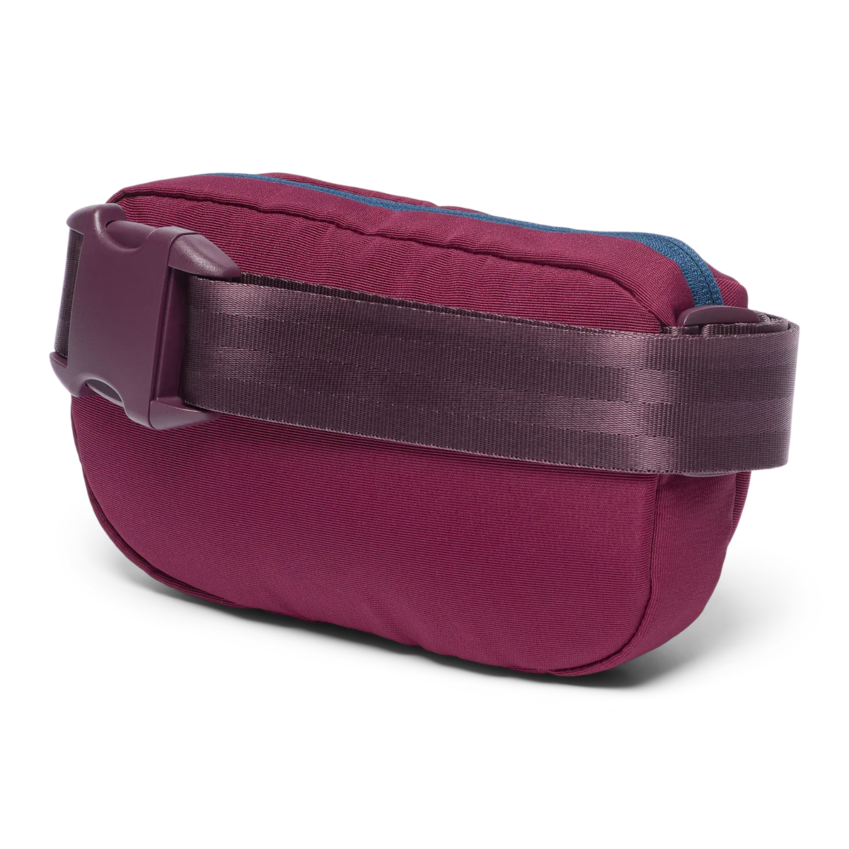 Todo 2L Hip Pack - F25
