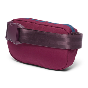 Todo 2L Hip Pack - F25