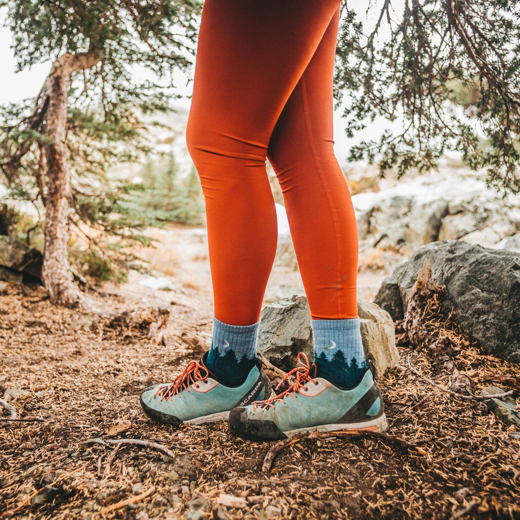 Treeline Micro Crew Midweight Hiking Sock for Women - S24