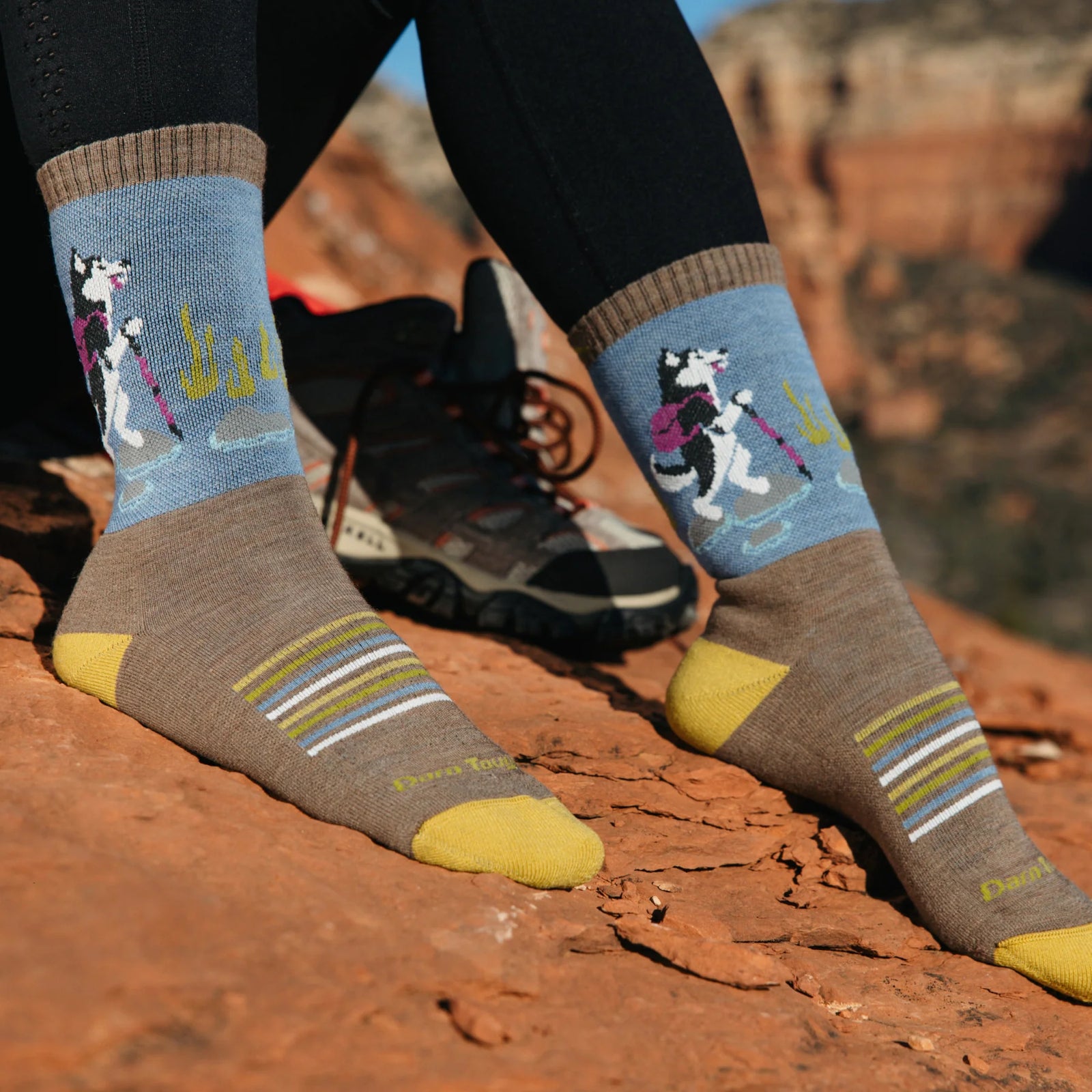 Critter Club Micro Crew Lightweight Hiking Sock for Women