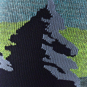 Solstice OTC Midweight Ski Sock - Mens