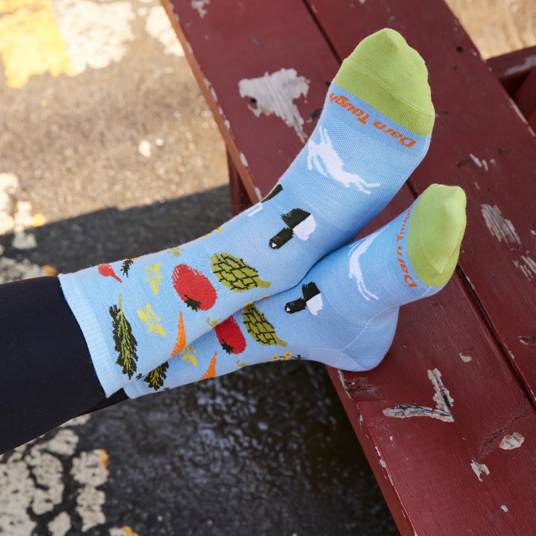 Farmer's Market Crew Lightweight Lifestyle Sock for Women