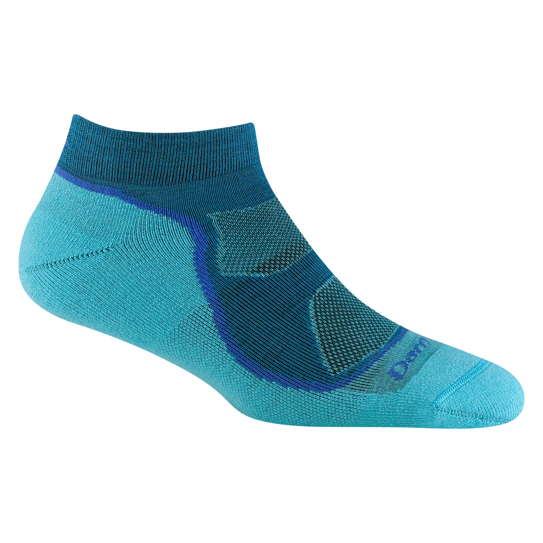 Light Hiker No Show Lightweight Sock with Cushion for Women