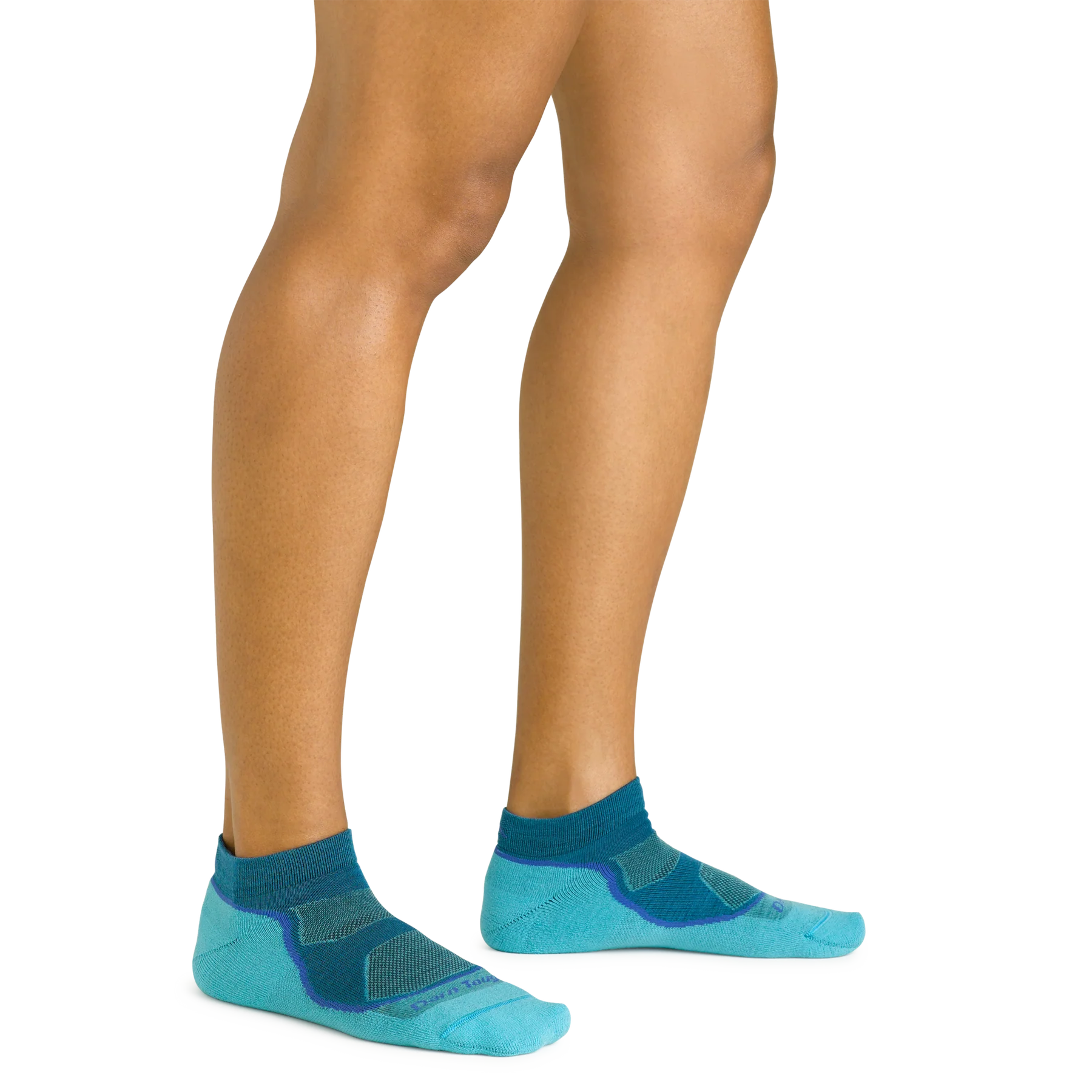 Light Hiker No Show Lightweight Sock with Cushion for Women