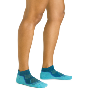 Light Hiker No Show Lightweight Sock with Cushion for Women
