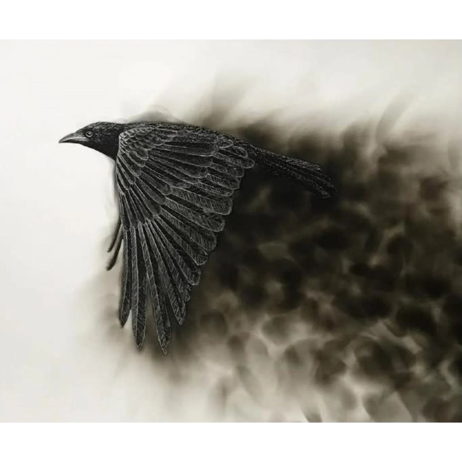 Born of Fire Canvas Print