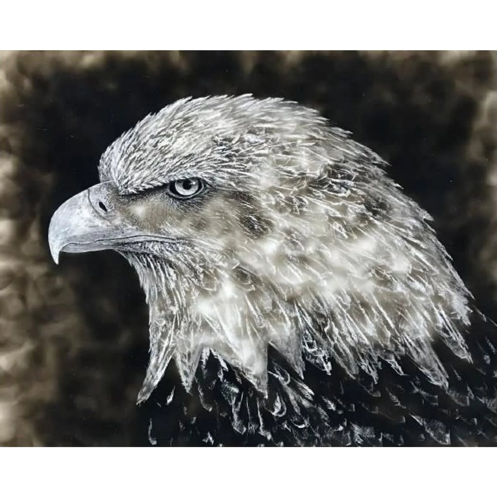 Eagle Eye Canvas Print
