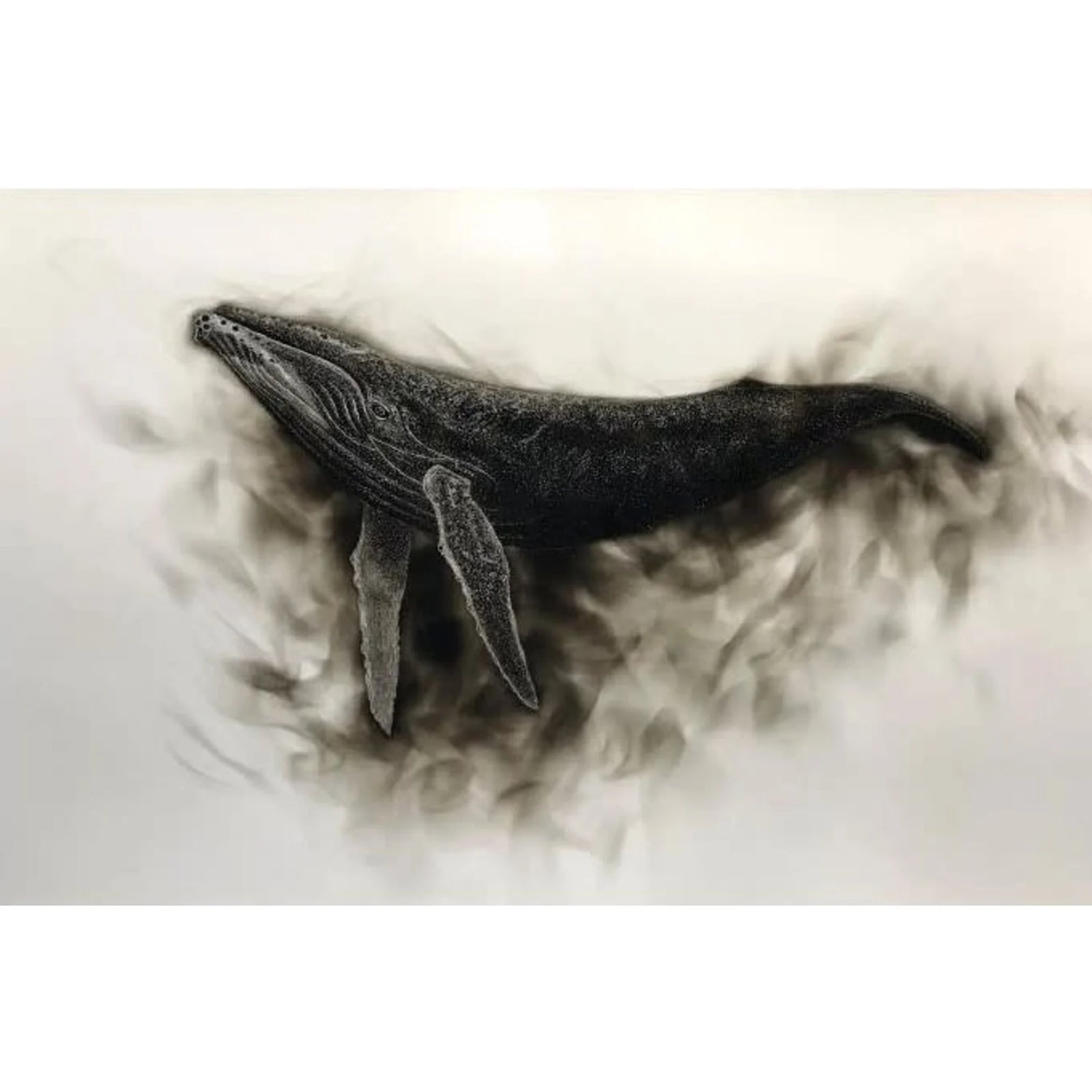 Humpback Whale Giclee Print