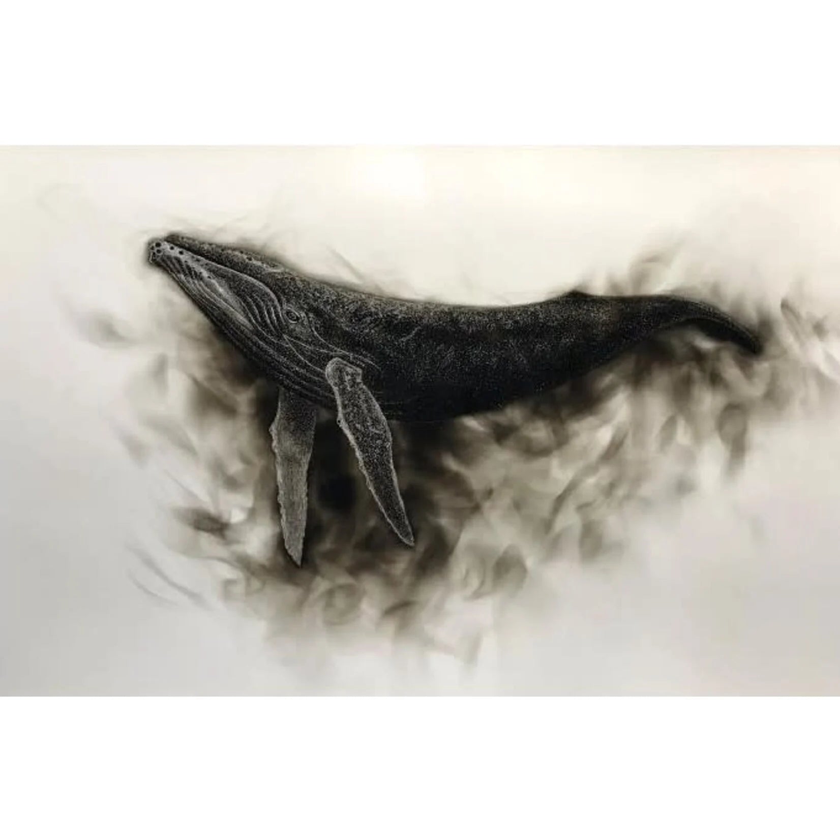Humpback Whale Canvas Print