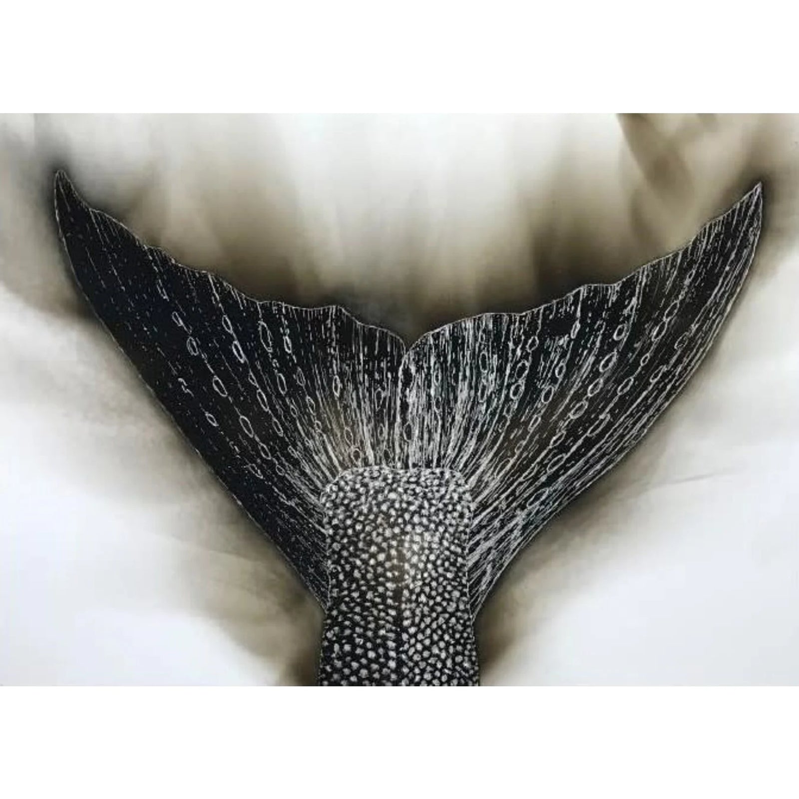 Salmon Tail Canvas Print