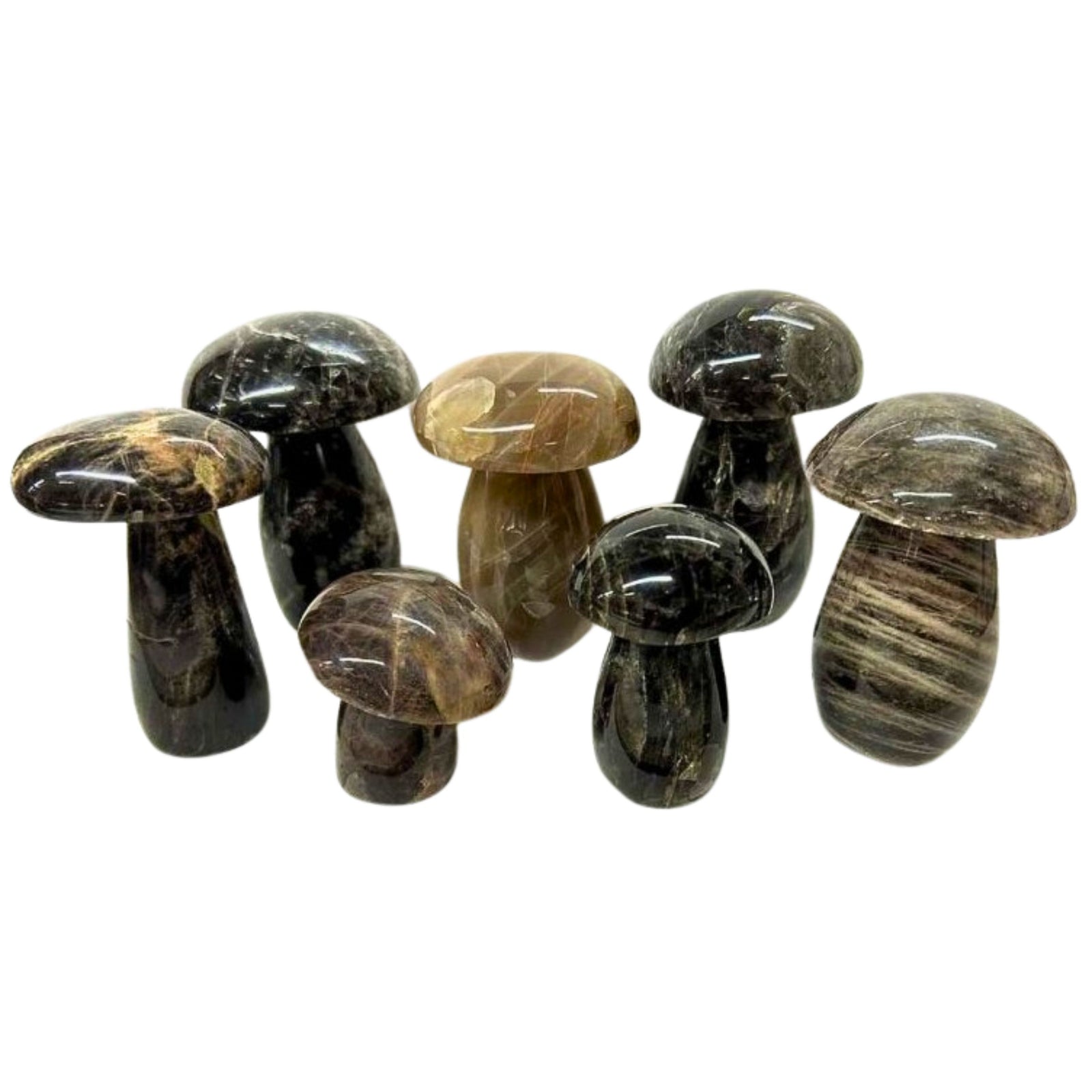 Black Moonstone Mushroom