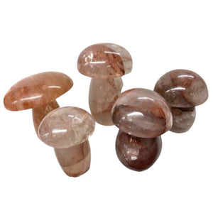 Red Quartz Hematoid Mushroom