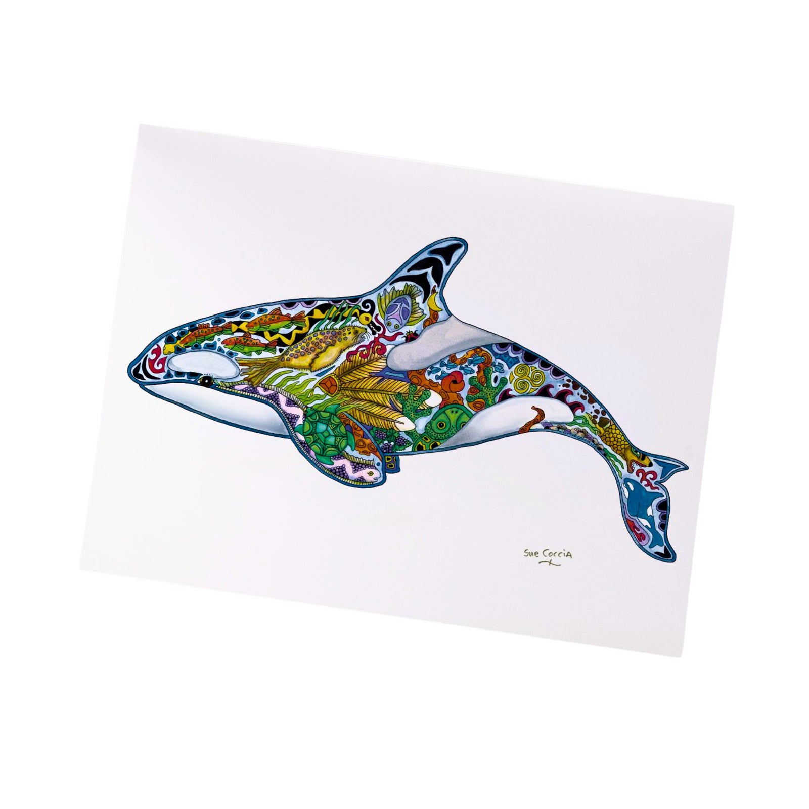Sue Coccia Granny Orca Print