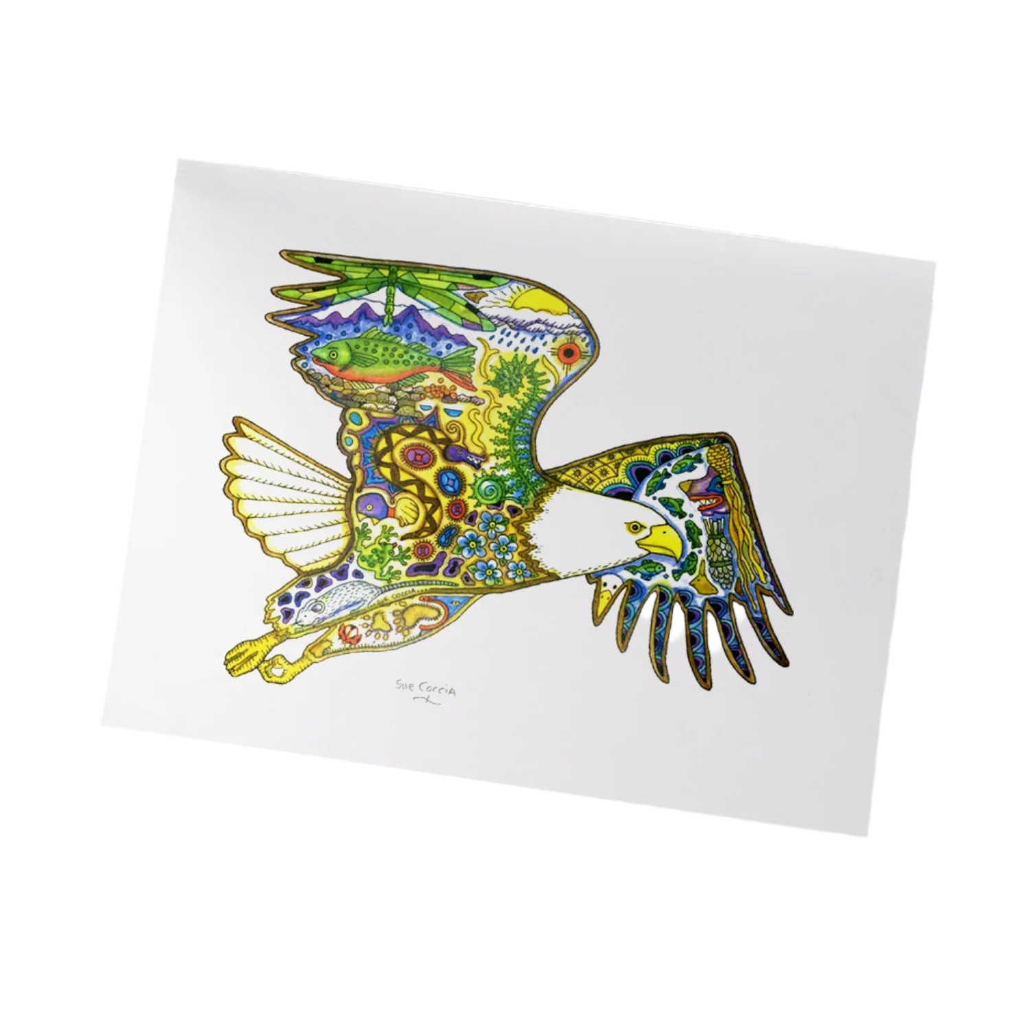 Sue Coccia Bald Eagle Print