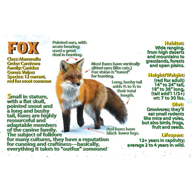 Fox Flipbook