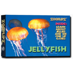 Jellyfish Flipbook - Forests, Tides, and Treasures