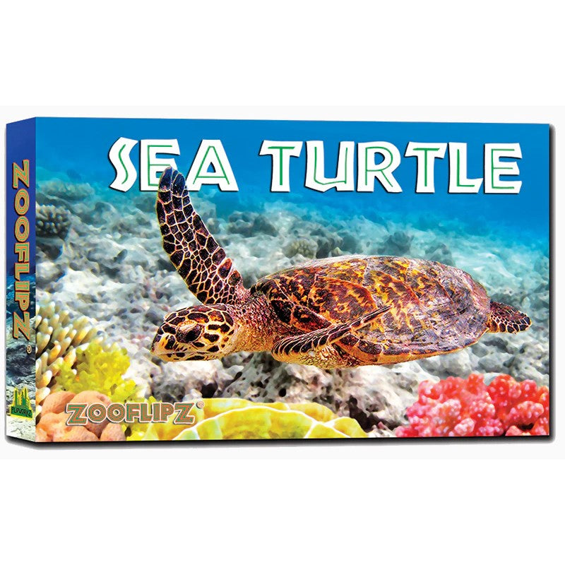 Sea Turtle Flipbook