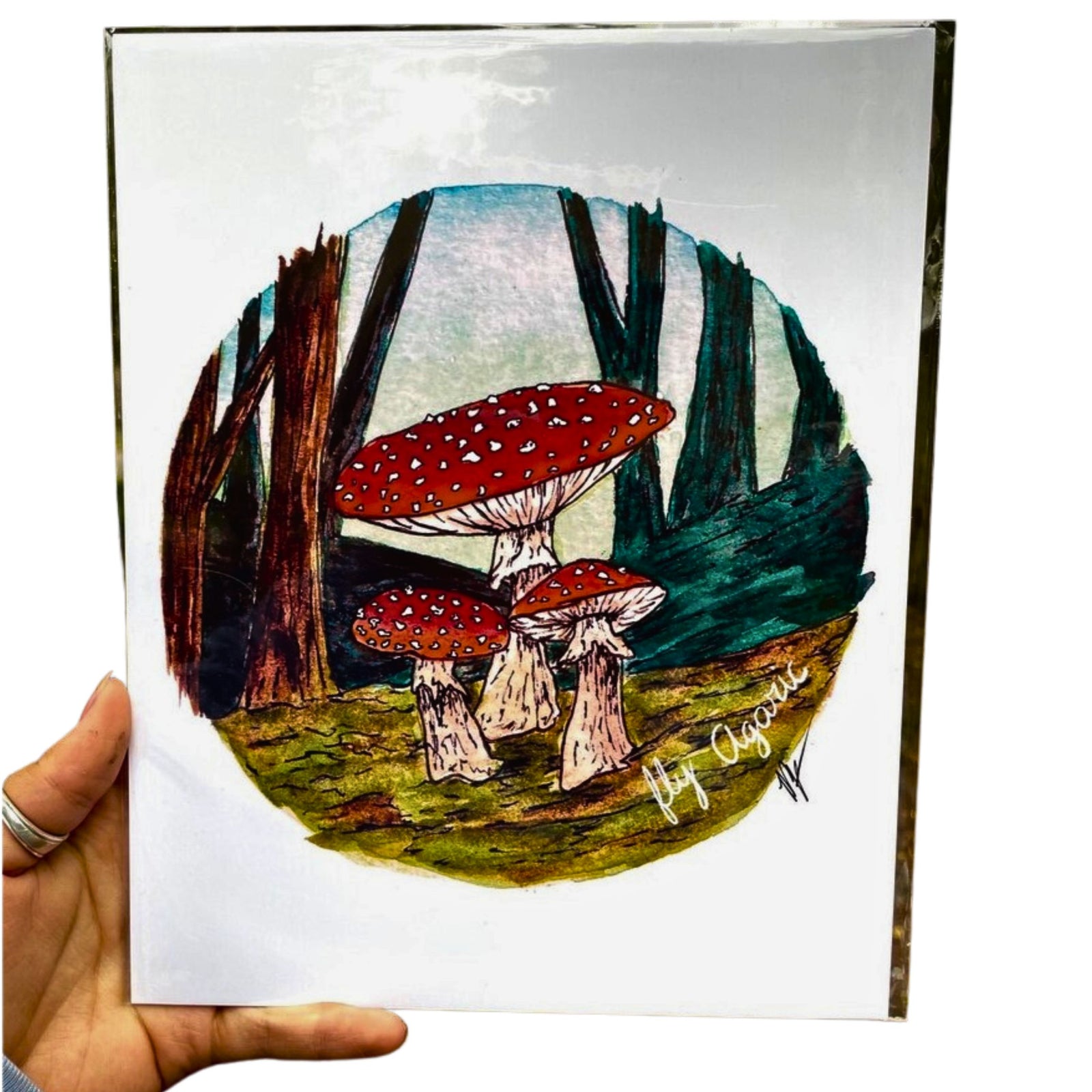 Fly Agaric Mushroom - Art Print