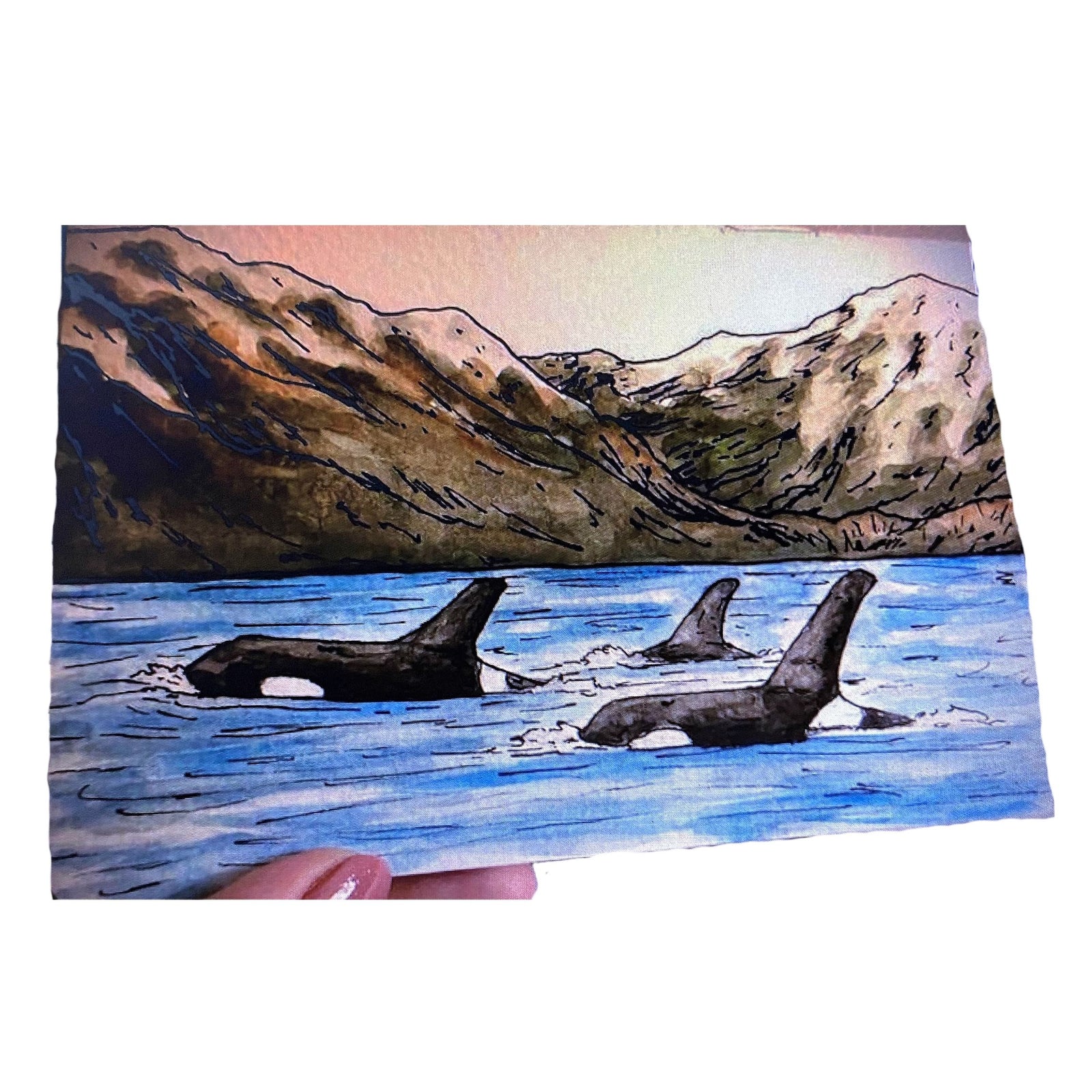 Orca Pod - Art Print