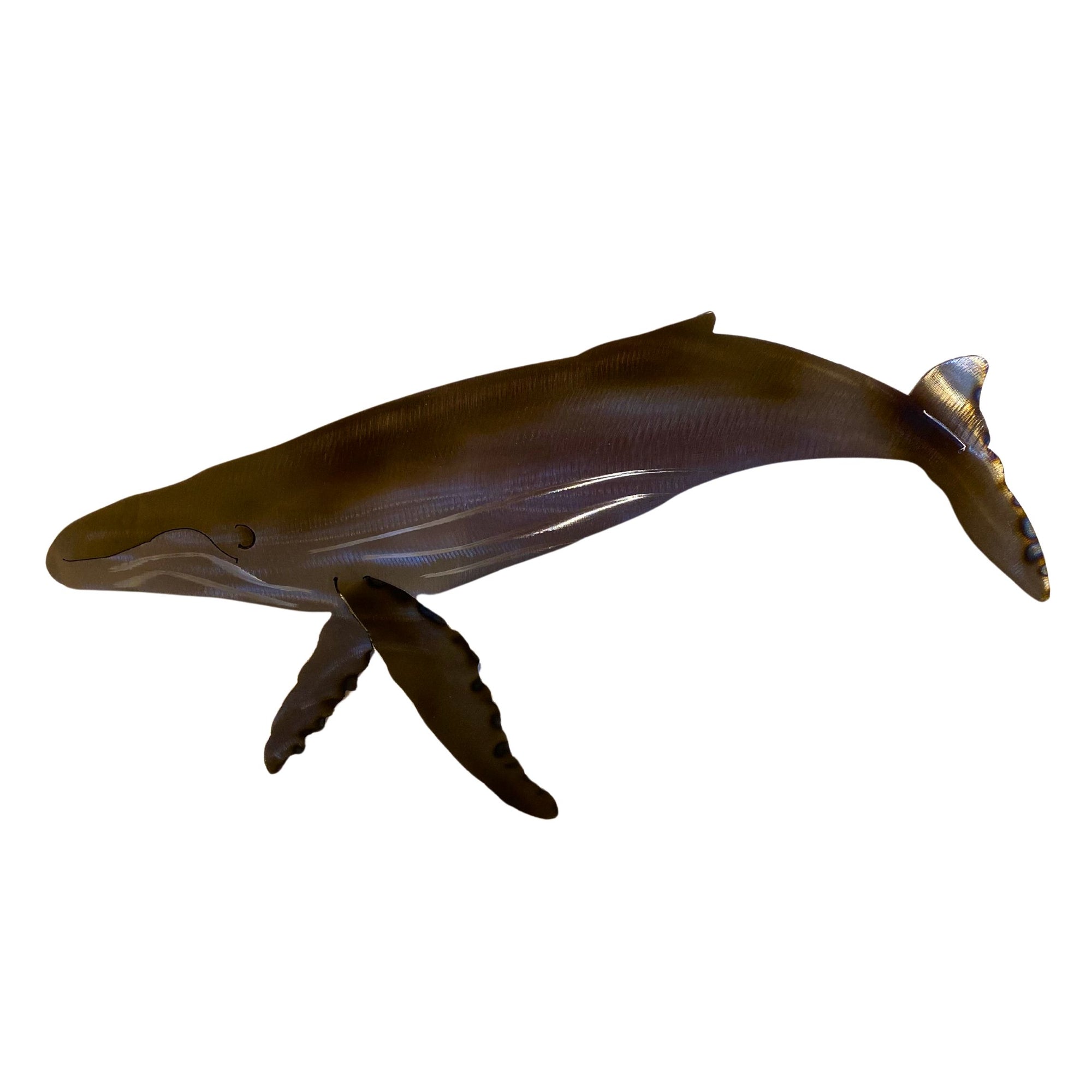 Humpback Bull