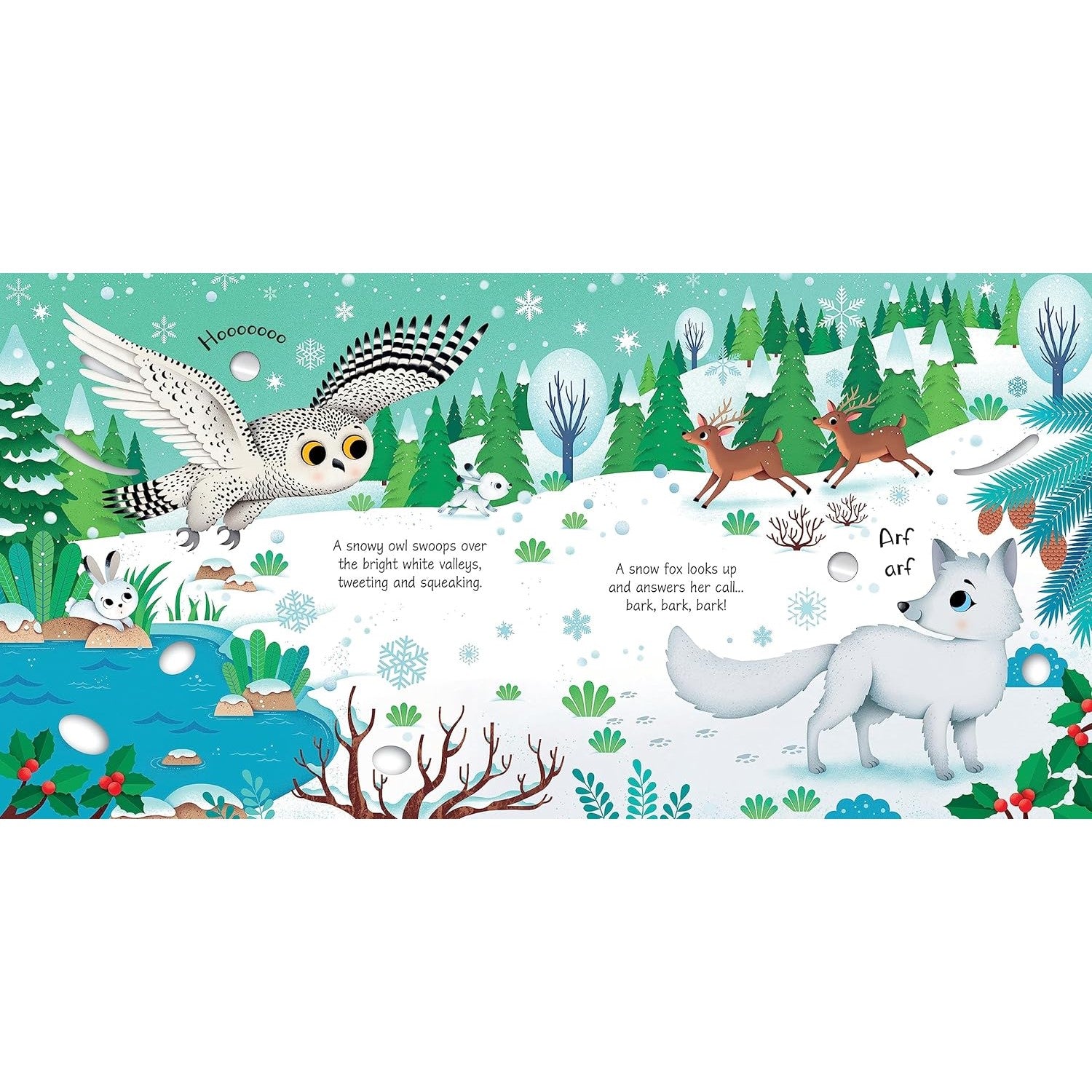 Arctic Animals Sound Book