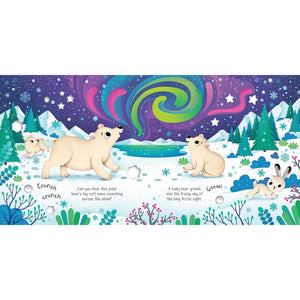 Arctic Animals Sound Book